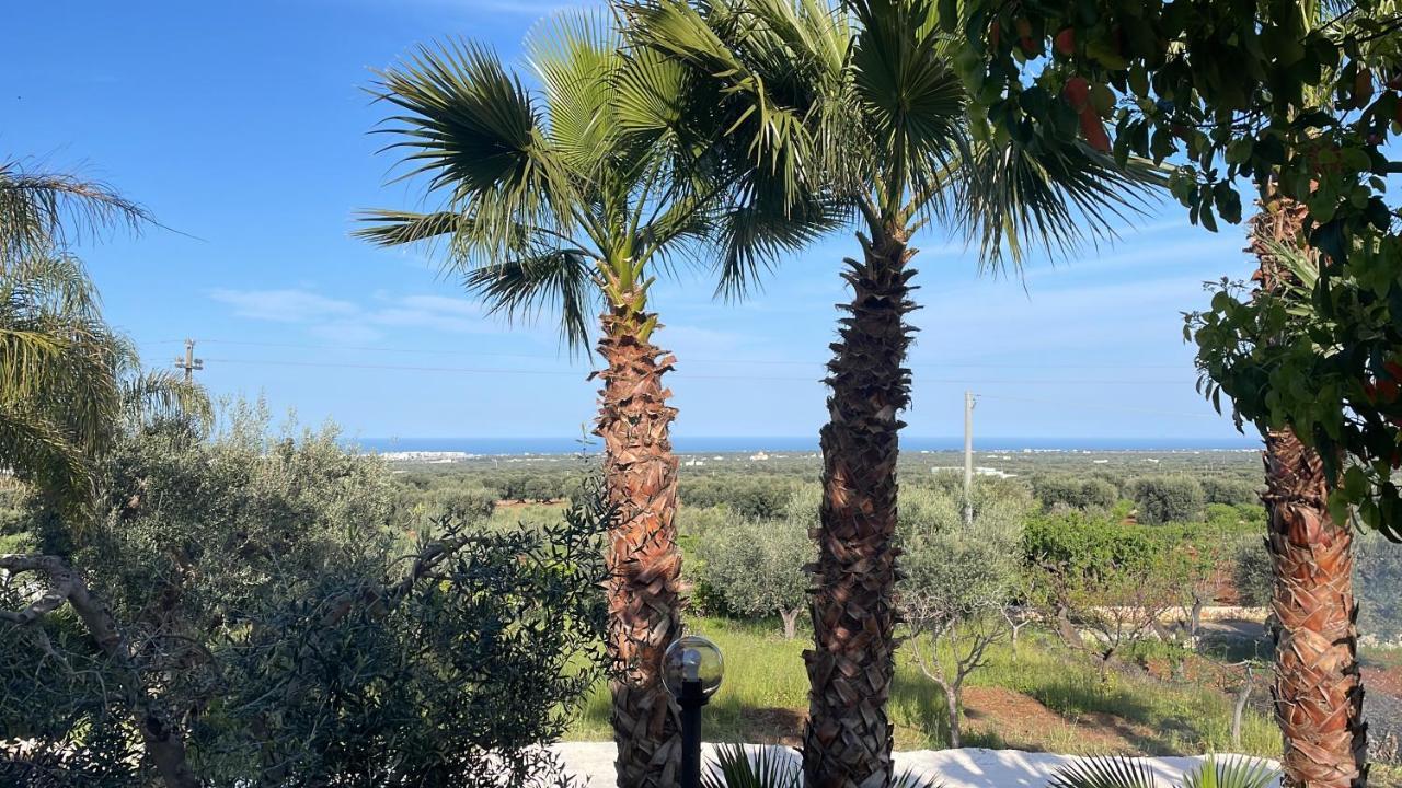 Alla Villa Di Angelo Monopoli Bagian luar foto