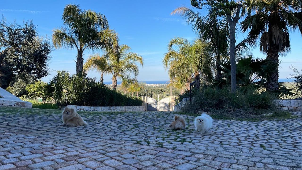 Alla Villa Di Angelo Monopoli Bagian luar foto