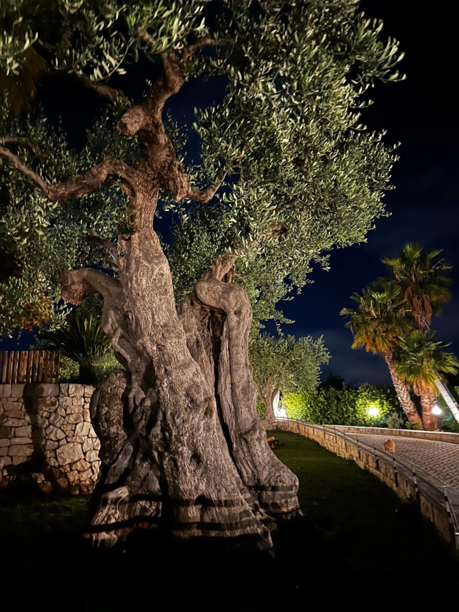 Alla Villa Di Angelo Monopoli Bagian luar foto