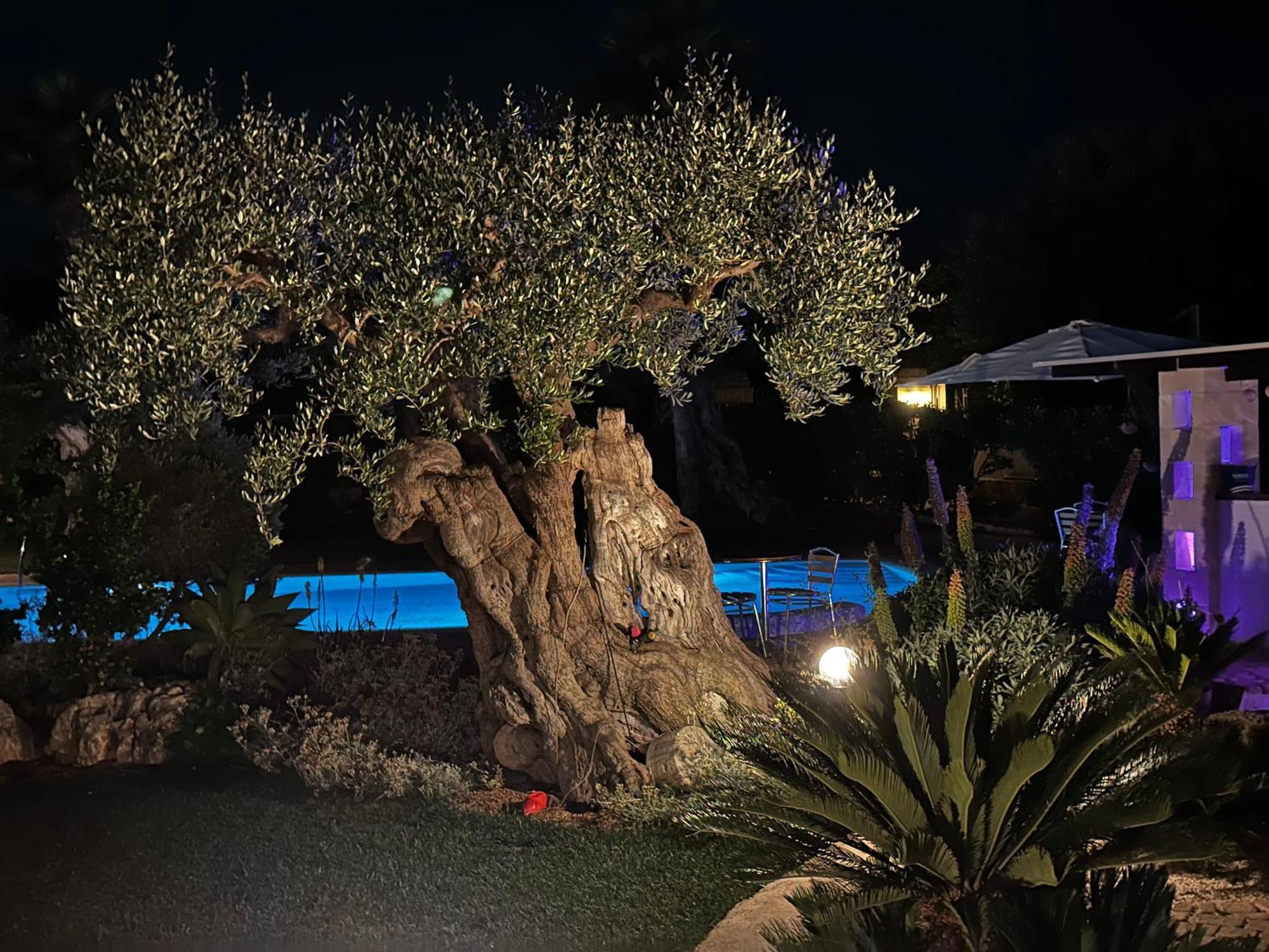 Alla Villa Di Angelo Monopoli Ruang foto